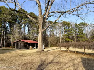 444 Grants Creek Road, Jacksonville, NC 28546 – photo 2: Grapevines and Barn
