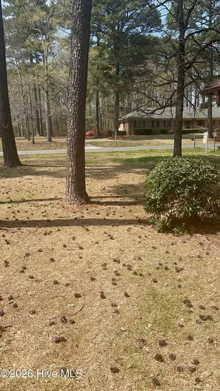3017 Octavia Drive, Rocky Mount, NC 27804 – photo 4: view from the porch