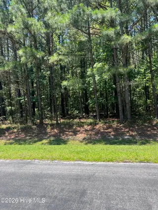 Lot #79 Breakwater Drive, Bath, NC 27808 – photo 4: IMG_5844