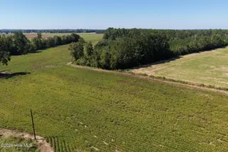10900 Joe Brown Highway S, Tabor City, NC 28463 — lot, Tabor City, NC, photo 7 of 7