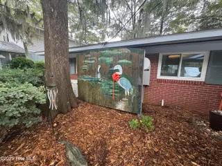 802 Canal Cove Road, Lake Waccamaw, NC 28450 – photo 15: Front of Home
