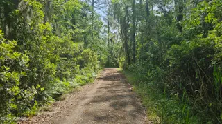 17/17a Oregon Lane, Aurora, NC 27806 – photo 7: 20240426_102432
