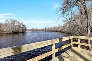257 Talbert Drive, Rocky Point, NC 28457 – photo 15: 6G8A0591