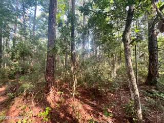 Lot 2 & 3 Strawhorn Creek Road, Aurora, NC 27806 – photo 15: IMG_6859