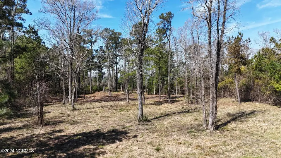 107 135 Pin Oak Court, Beaufort, NC 28516 – photo 1 of 39: DJI_20240315120428_0027_D Large