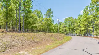 143 4021 Swaringen Drive, Seven Lakes, NC 27376 – photo 8: DJI_20260811125416_0017_D
