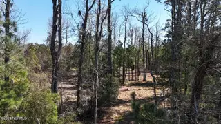 107 135 Pin Oak Court, Beaufort, NC 28516 – photo 7: DJI_20240315132715_0107_D Large