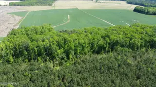 Off Speights Chapel Road, Whitakers, NC 27891 – photo 19: DJI_0588