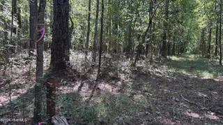 6033 Homestead Road, Elm City, NC 27822 — lot, Elm City, NC, photo 24 of 42: IMG_9322