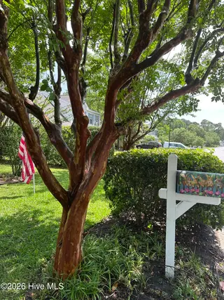 4905 Split Rail Drive, Wilmington, NC 28412 – photo 4: IMG_0836