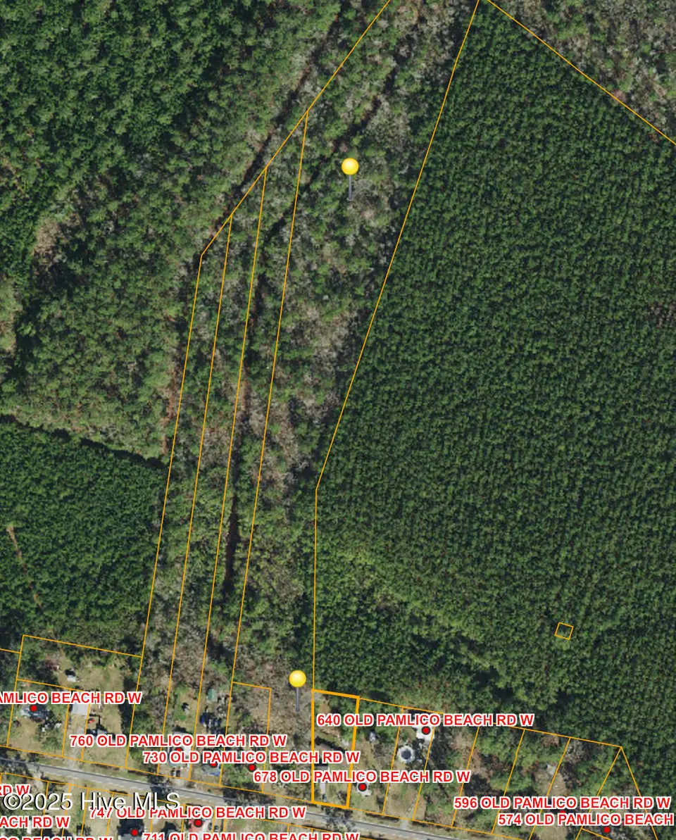 0 Sr 1730 Old Pamlico Beach Road West, Belhaven, NC 27810 – photo 1 of 10: IMG_1545