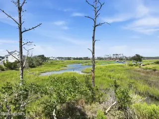 1504 Mainsail Road, Morehead City, NC 28557 – photo 3: View from Backyard