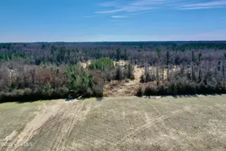 Tract 1 Haynes Lennon Highway, Cerro Gordo, NC 28430 – photo 4: Dudney 10 ac-4