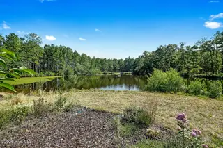 137 Manley Road, Carthage, NC 28327 – photo 13: 41_ftp_real_estate_media_137_manley_fina