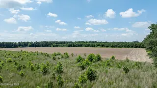 000 Oberry Road, Dudley, NC 28333 – photo 17: 0OberryRd-DudleyNC-17