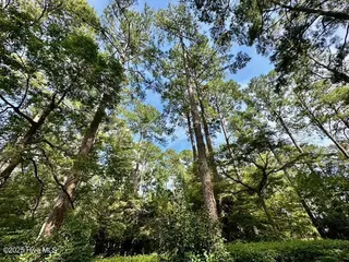 5003 Trent Woods Drive, Trent Woods, NC 28562 – photo 16: Meyer 9