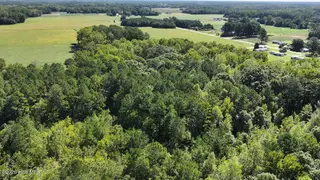 6033 Homestead Road, Elm City, NC 27822 — lot, Elm City, NC, photo 10 of 42: Screenshot 2026-09-29 114019