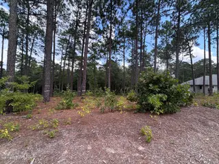 103 402 Haddington Drive, Pinehurst, NC 28374 – photo 11: IMG_5382