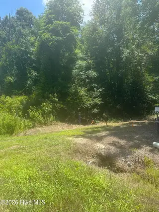 Near 721 Joe Piver Road, Chadbourn, NC 28431 – photo 5: IMG_0186