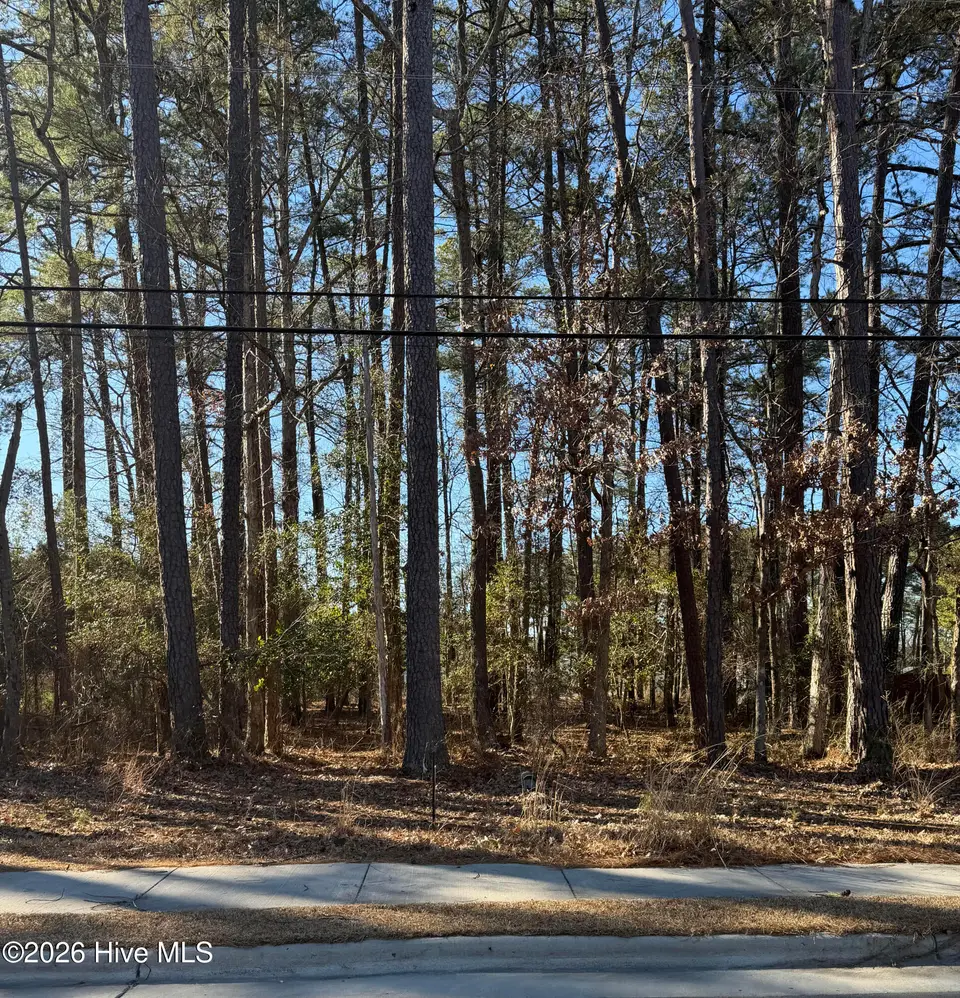 Lot 3 3 Springfield Road, Rocky Mount, NC 27801 – photo 1 of 2: Springfield Road lot