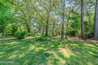 223 Spring Drive, Jacksonville, NC 28540 – photo 4: Backyard