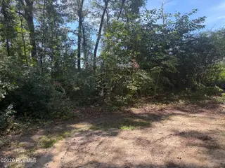 314 Factory Street, Tarboro, NC 27886 – photo 4: IMG_2333