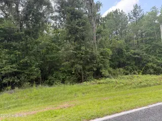 0 Old Sandhill Road, Edward, NC 27821 – photo 8: IMG_1784 2