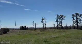 342 Battalina Lane, Belhaven, NC 27810 – photo 3: IMG_0930