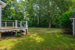 1803 Springdale Lane, Tarboro, NC 27886 – photo 22: Backyard