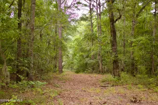 385 Sand Ridge Road, New Bern, NC 28560 – photo 5: IMG_4490