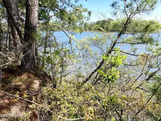 0 Lukeath Carter Drive, Havelock, NC 28532 – photo 3: LCD04