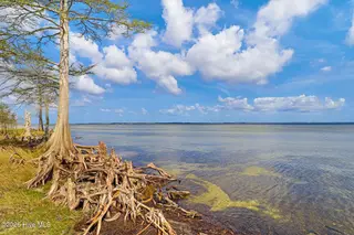 107 Cedarwood Drive, Havelock, NC 28532 – photo 15: Waterfront Lot in Neuse Point East