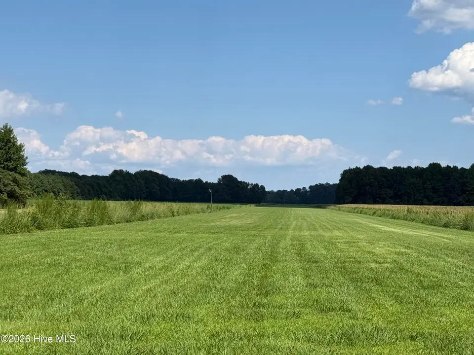 0 Bay City Road, Aurora, NC 27806 – photo 1 of 17: Air Strip