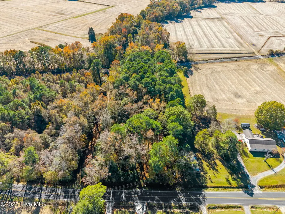 3278 Moye Turnage Road, Farmville, NC 27828 – photo 1 of 11: Aerial