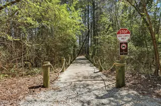 120 N Brig Drive, Hampstead, NC 28443 – photo 3: 85_pathway