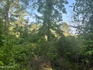 Lot 2 & 3 Strawhorn Creek Road, Aurora, NC 27806 – photo 16: IMG_6849