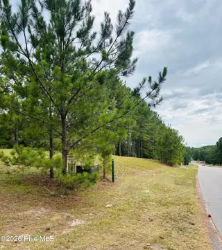 740 338 Broken Ridge Trail, West End, NC 27376 – photo 2: 338 from bottom left