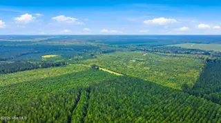 795 Pollard Swamp Road, Vanceboro, NC 28586 – photo 19: 19-print-DJI_0317 - edited