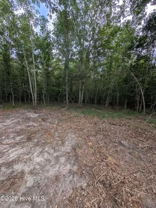 Tbd 2R-3 Peyton Drive, Eagle Springs, NC 27242 – photo 8: PXL_20260707_210746038