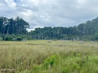 558 Sandy Point Drive, Beaufort, NC 28516 – photo 10: Cleared portion