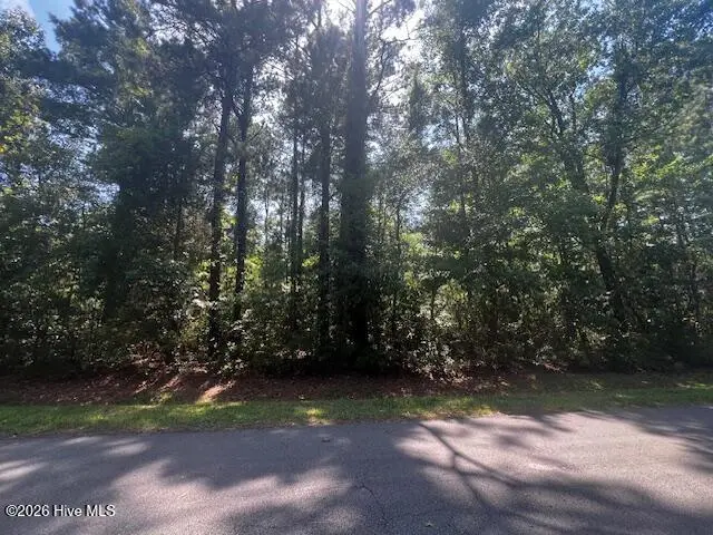 5710 Barbary Coast Drive, New Bern, NC 28560 – photo 1 of 5: Street View