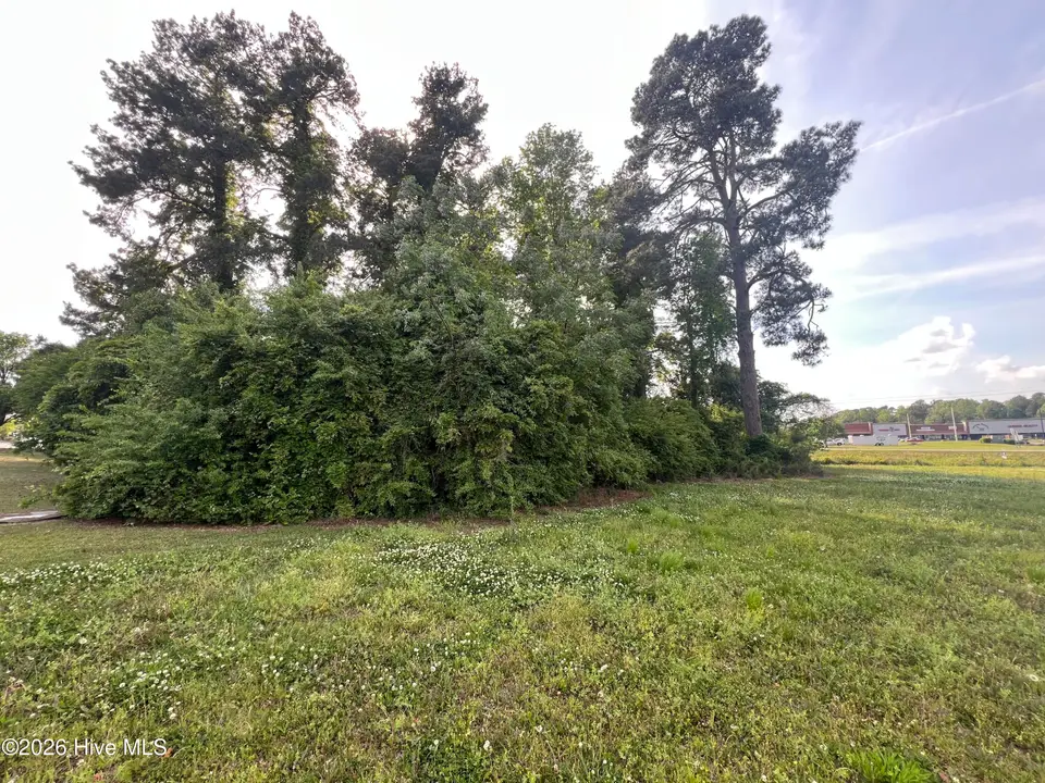 64142 S Near 1718 S Madison Street, Whiteville, NC 28472 – photo 1 of 12: IMG_7963