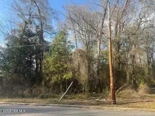 002224 E Near 217 E Clay Street, Whiteville, NC 28472 – photo 5: IMG_5276
