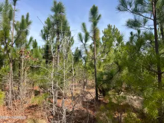 00 Us 15/501, Pinehurst, NC 28374 – photo 15: IMG_1560