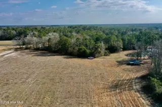 0 Near 4635 Hallsboro Road N, Clarkton, NC 28433 – photo 9: CPS 9