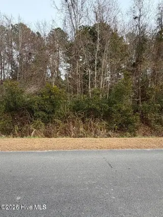 0 1-5 Joans Haven Drive, Newport, NC 28570 – photo 5: Lot 5