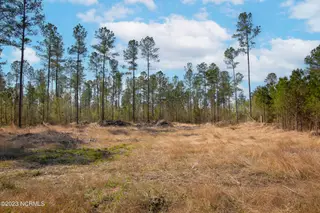 0 Nc-903, Stokes, NC 27884 – photo 5: Stokes Tract 6