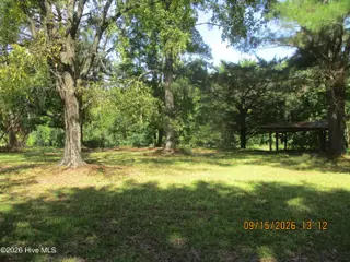 7625 Wheat Swamp Road, Lucama, NC 27851 – photo 10: 7625 Wheat Swamp yard1-3