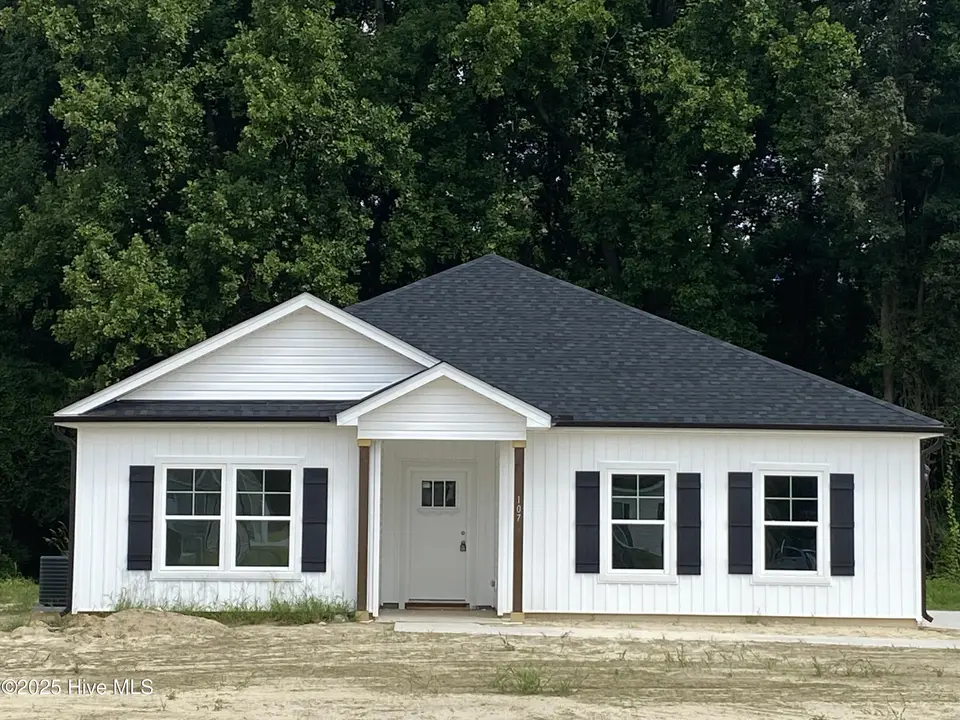 107 Chester Place, Pikeville, NC 27863 – photo 1 of 21: 107 Chester Place - Landon