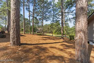 190 Barton Hills Court, Pinehurst, NC 28374 – photo 17: 16-web-or-mls-DSC03445